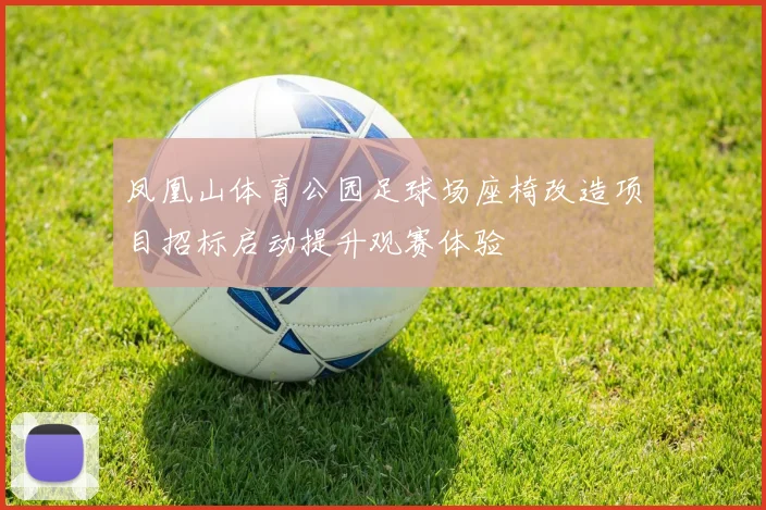 凤凰山体育公园足球场座椅改造项目招标启动提升观赛体验